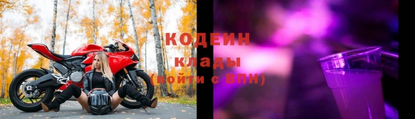 стаф Арсеньев
