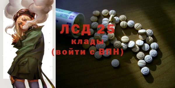 стаф Арсеньев