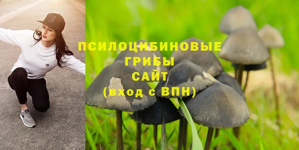 мескалин Аркадак