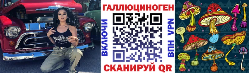 Галлюциногенные грибы Psilocybine cubensis  Белокуриха 
